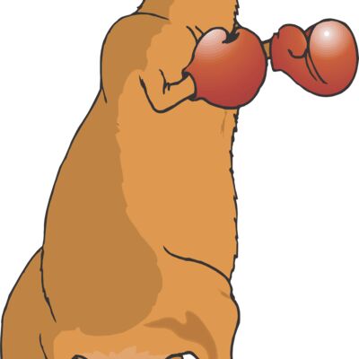Boxing Kangaroo Thumbnail