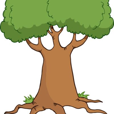 Tree Roots Thumbnail