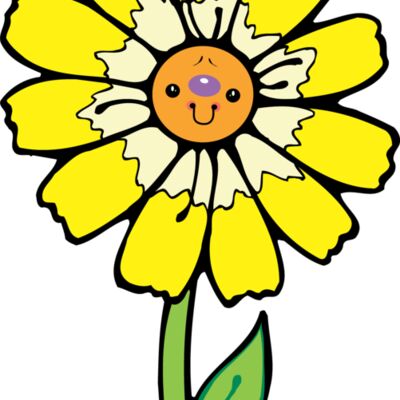 Fower Face 2 Thumbnail